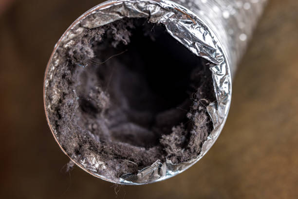 Best Affordable Air Duct Cleaning  in Sa Conejo, CA