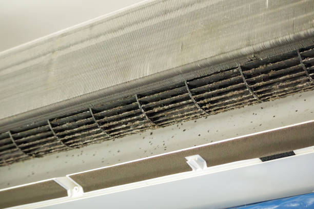 Best Ductwork Cleaning Services  in Sa Conejo, CA